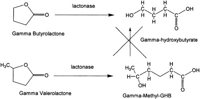 gbl chemical